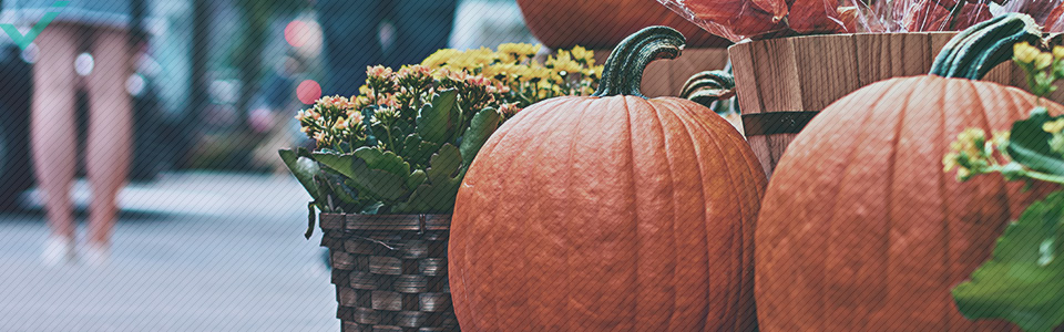 Alrededor del 48% de los italianos celebran Halloween.